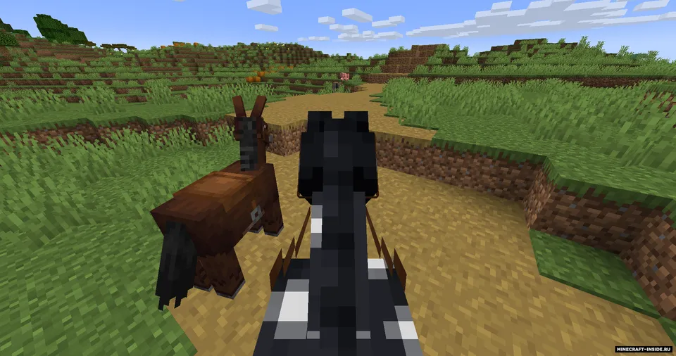 Paths are Roads — Minecraft data pak, rasm 3
