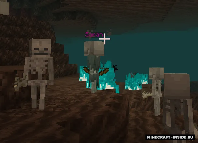 Special Mobs and its addons — Minecraft data pak, rasm 8
