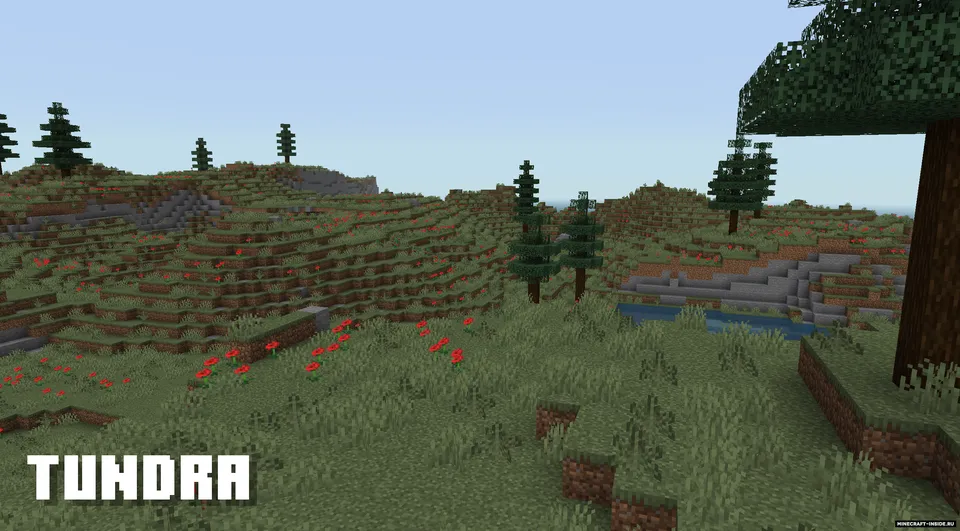 JermsyBoy's World Overhaul — Minecraft data pak, rasm 6