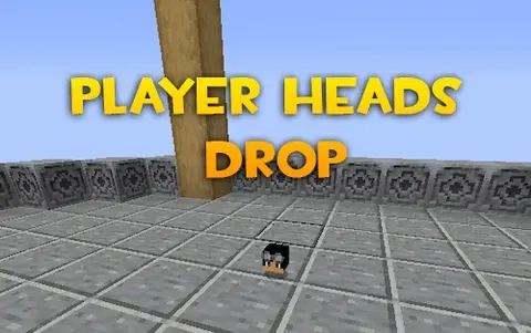Player Heads Drop