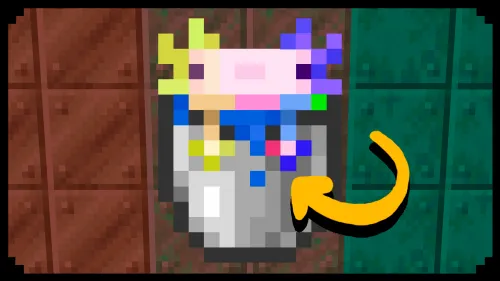 Kamalak rangli aksolotl — Minecraft data pak, rasm 1