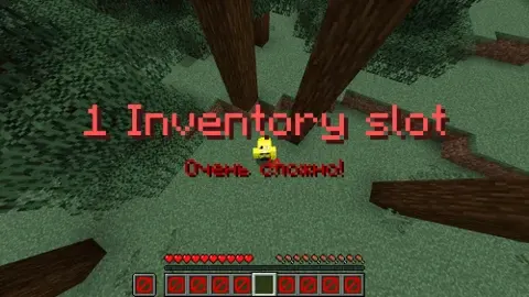 One Inventory slot