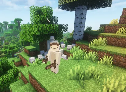 Any sword — Minecraft mod, rasm 4