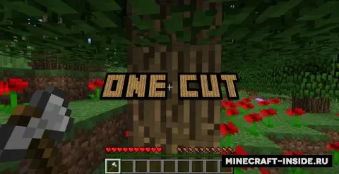 One Cut