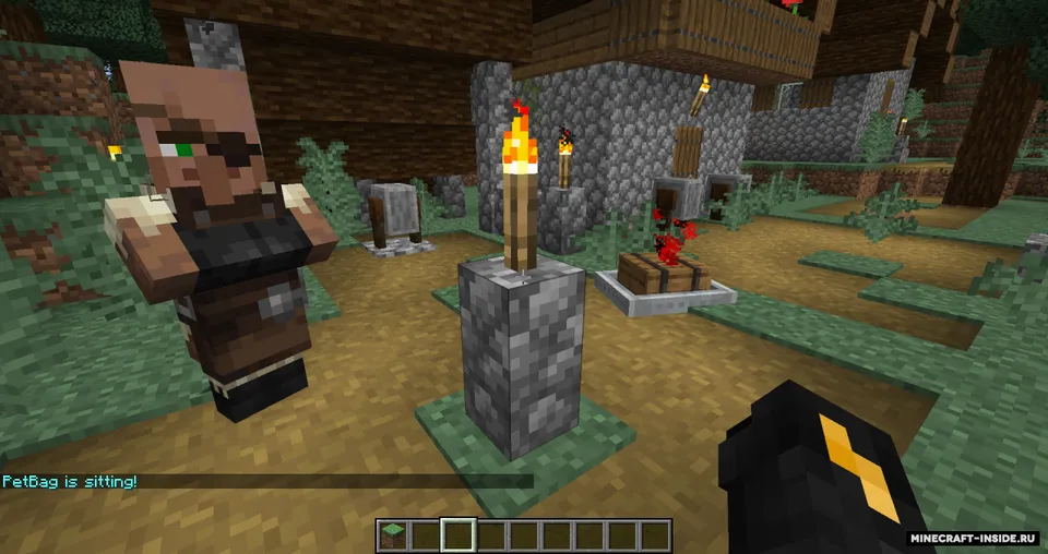 PetBag — Minecraft data pak, rasm 3