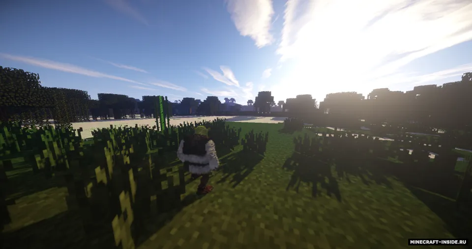 Shrek — Minecraft data pak, rasm 3