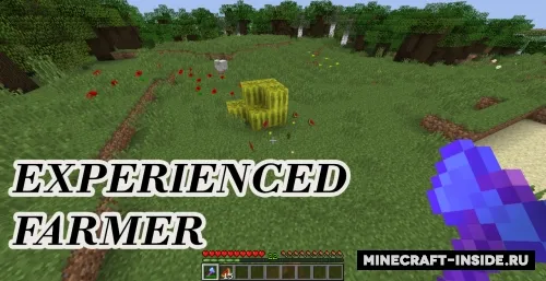Experienced Farmer — Minecraft data pak, rasm 1