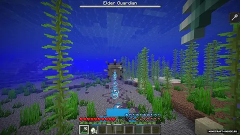 Mob Health Bar