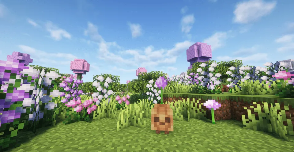 Oh The Biomes We've Gone — Minecraft mod, rasm 8
