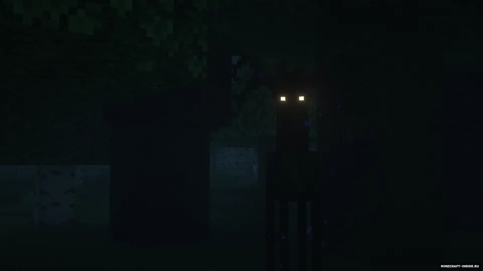 Enderman Overhaul — Minecraft mod, rasm 5