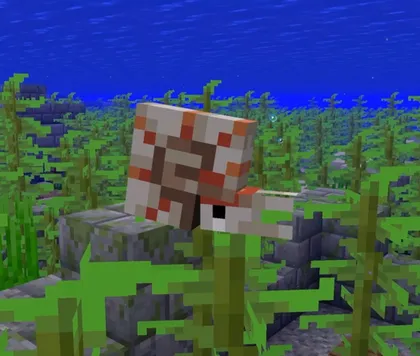 Nautilus — Minecraft mod, rasm 1