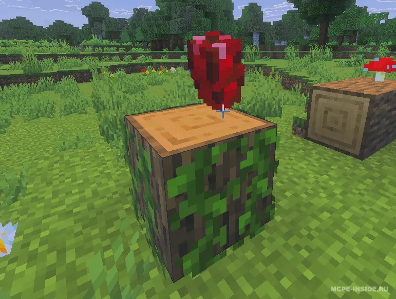 Daraxtdagi olmalar — Minecraft mod, rasm 4