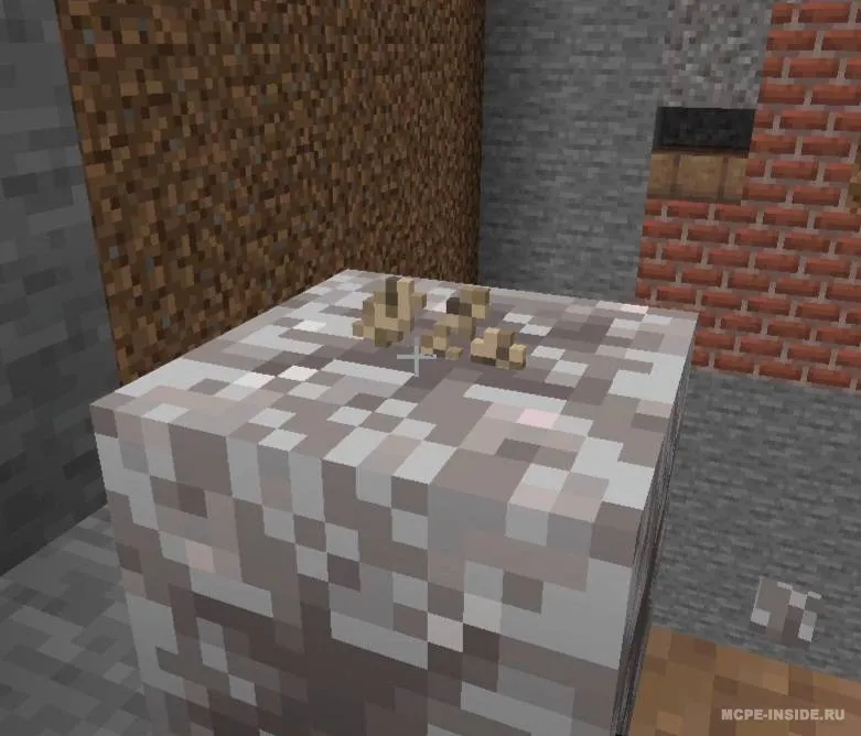 Biom kompasi — Minecraft mod, rasm 3
