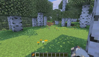 Blok-uy hayvonlari — Minecraft mod, rasm 2