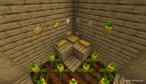 Ananas zavqi