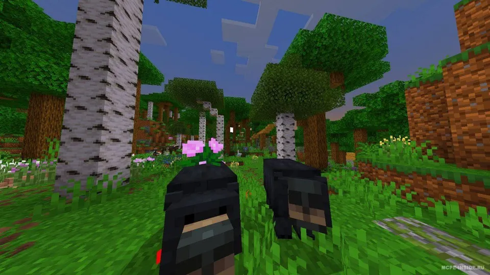 Adventure Time — Minecraft mod, rasm 1