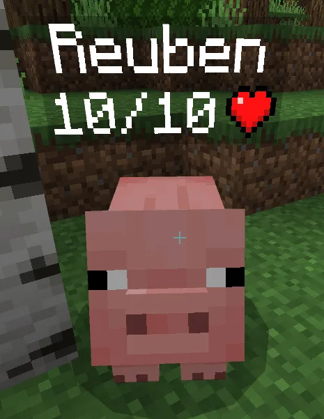 Oddiy sog'liq indikatori — Minecraft mod, rasm 4