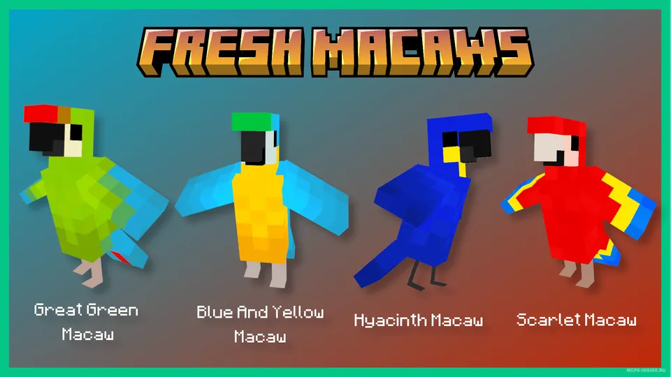 To'tiqushlar yaxshilanishi — Minecraft mod, rasm 3