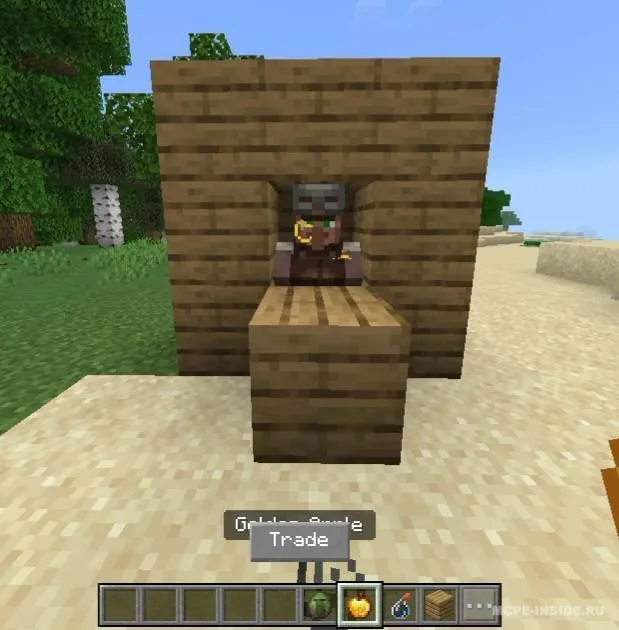 Qishloqlikni tez davolash — Minecraft mod, rasm 1