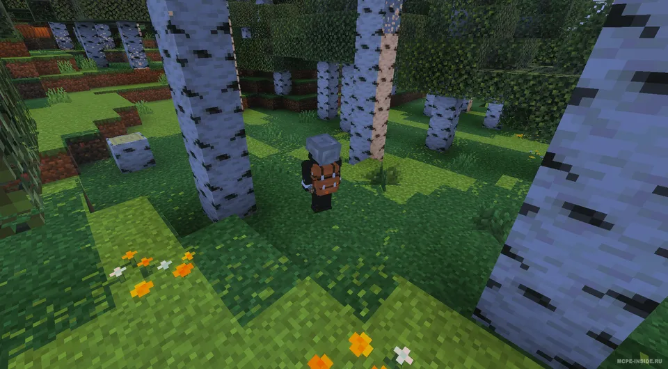 Sayohat qiluvchilar uchun kengaytma — Minecraft mod, rasm 3