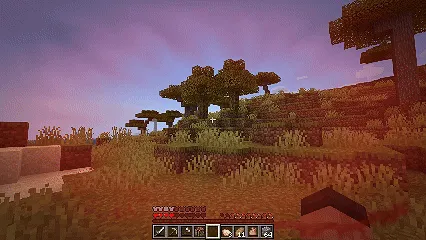 X Vizuallar — Minecraft mod, rasm 2