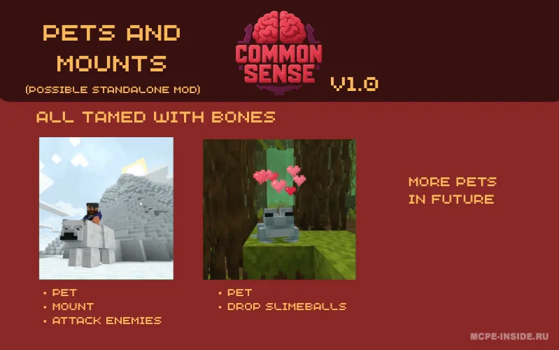 Common Sense — Minecraft mod, rasm 3