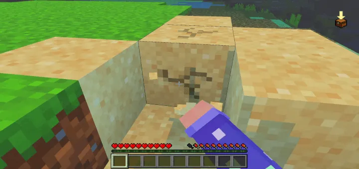 O'lja randomayzeri — Minecraft mod, rasm 2