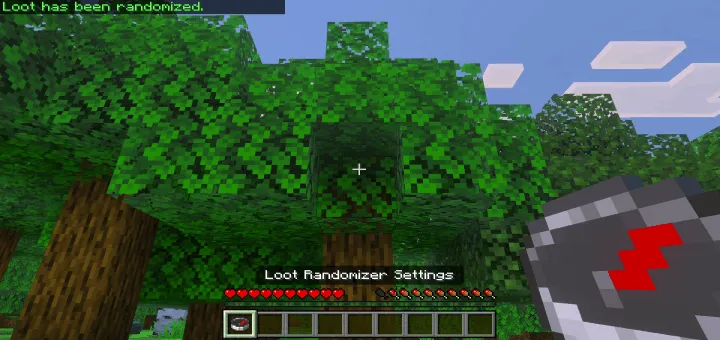 O'lja randomayzeri — Minecraft mod, rasm 4