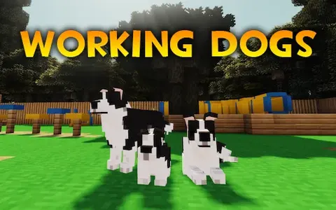 Working Dogs