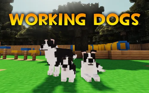 Working Dogs — Minecraft mod, rasm 1