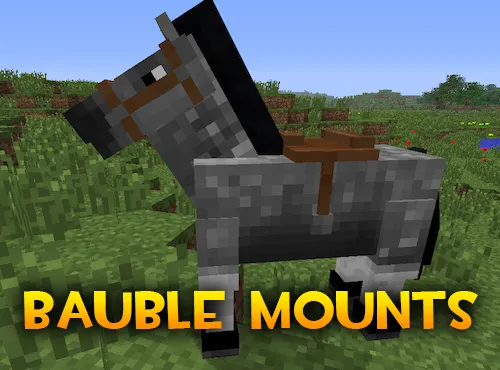 Bauble Mounts — Minecraft mod, rasm 1