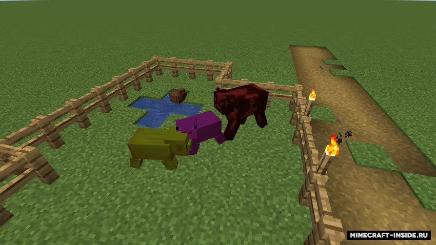 Dye Mob Dye — Minecraft mod, rasm 2