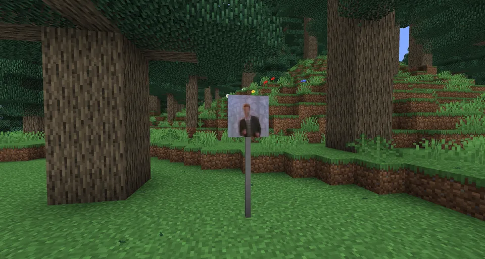 TrafficCraft — Minecraft mod, rasm 5