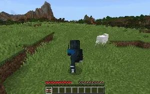Sonic etiklari