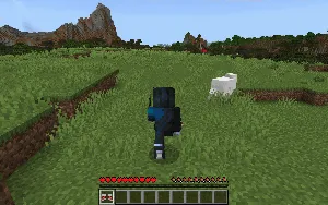 Sonic etiklari — Minecraft mod, rasm 1