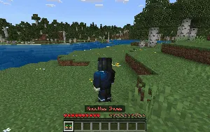Sonic etiklari — Minecraft mod, rasm 3