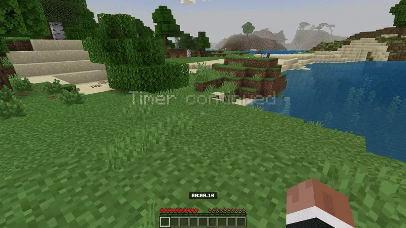 Taymer — Minecraft mod, rasm 2