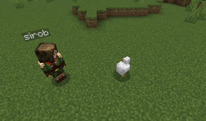 Ko'tarish va ko'chirish — Minecraft mod, rasm 1