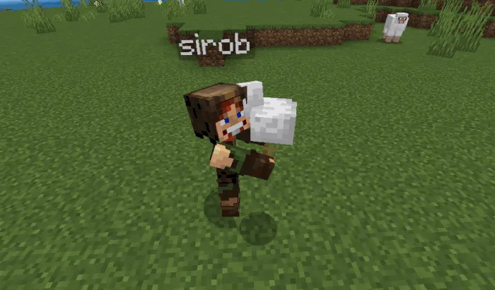 Ko'tarish va ko'chirish — Minecraft mod, rasm 4