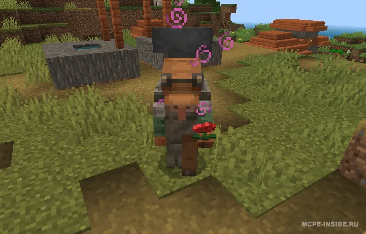 Golem-shifokor — Minecraft mod, rasm 2