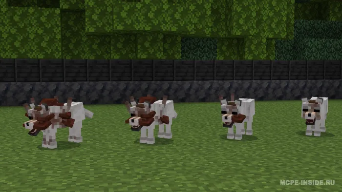 Zamburug'li xavf — Minecraft mod, rasm 2