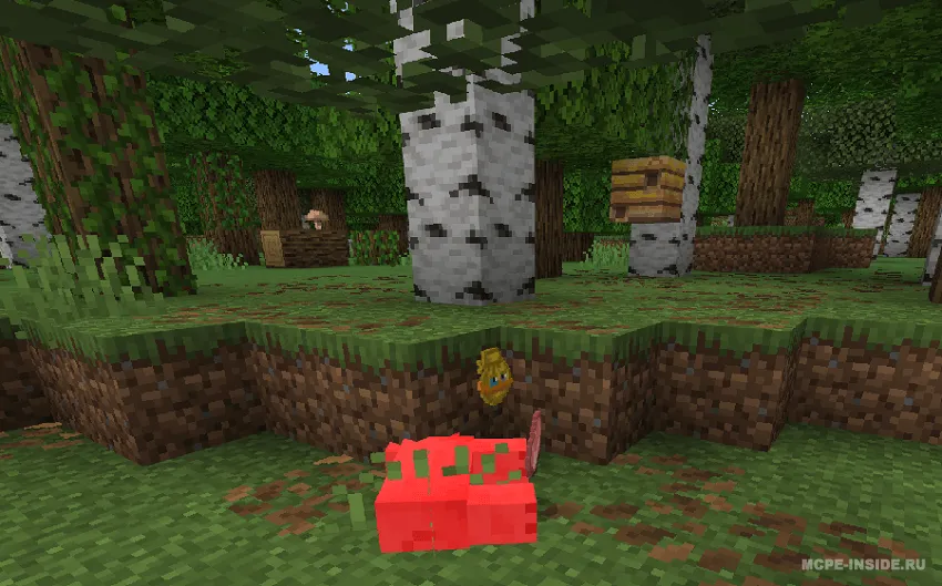 Faqat kosmetika — Minecraft mod, rasm 1