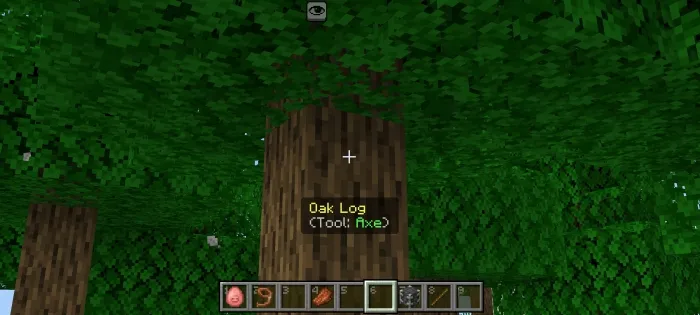 Narsaga qarayapman — Minecraft mod, rasm 1