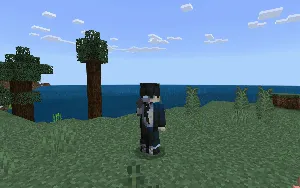 O'qotar qurol — Minecraft mod, rasm 3