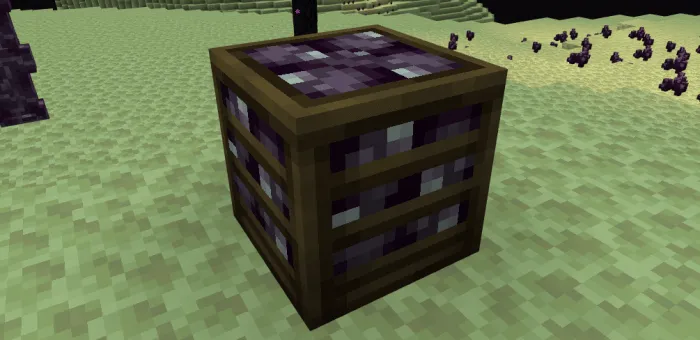 End zavqi — Minecraft mod, rasm 3