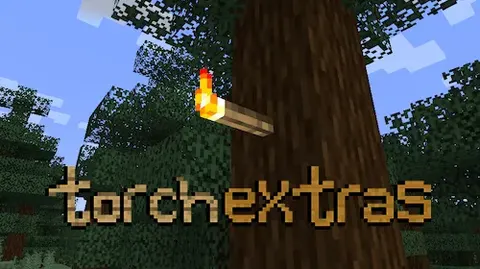 Torch Extras