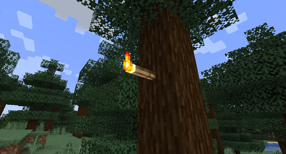 Torch Extras — Minecraft mod, rasm 2