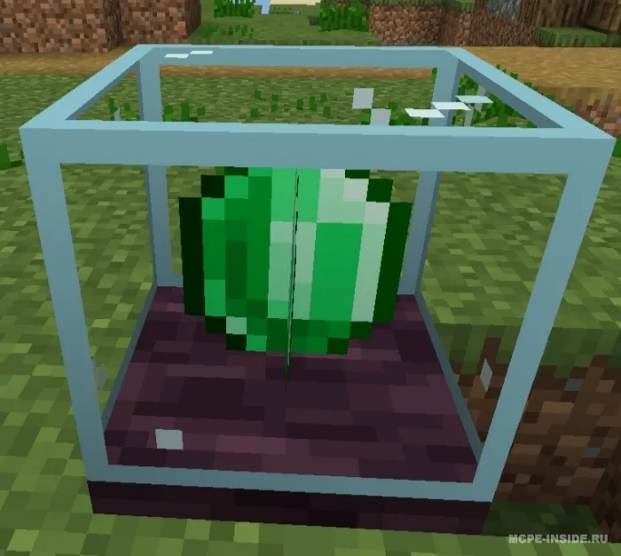 Oddiy do'kon — Minecraft mod, rasm 2