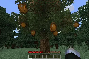 Ko'proq mevalar — Minecraft mod, rasm 2