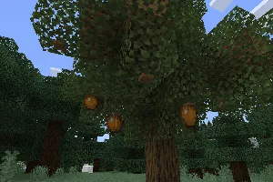 Ko'proq mevalar — Minecraft mod, rasm 3